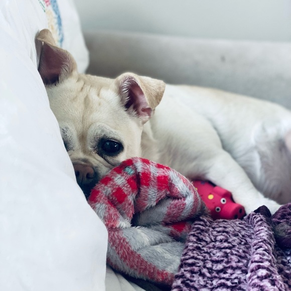 Meet your Posher, Sarah - Picture 8 of 8